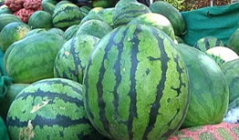 911爆料吃瓜在哪看,热门平台一览